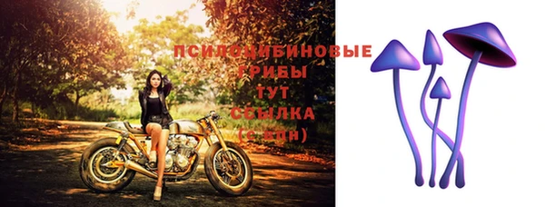 mdpv Арсеньев