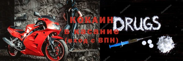прущие грибы Армянск