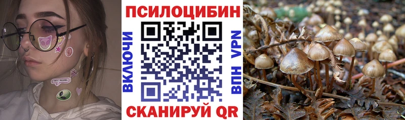 Галлюциногенные грибы GOLDEN TEACHER  наркота  Дзержинск 
